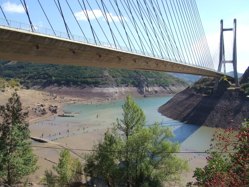 Embalse Barrios de Luna - Puente Carlos Fdez Casado (2008-09-26) by tonyo75