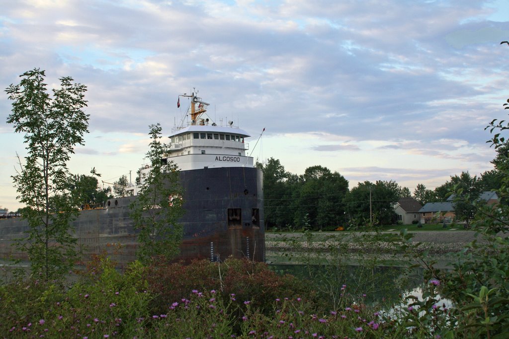 Upbound Laker Algosoo, Welland Canal by KathyT