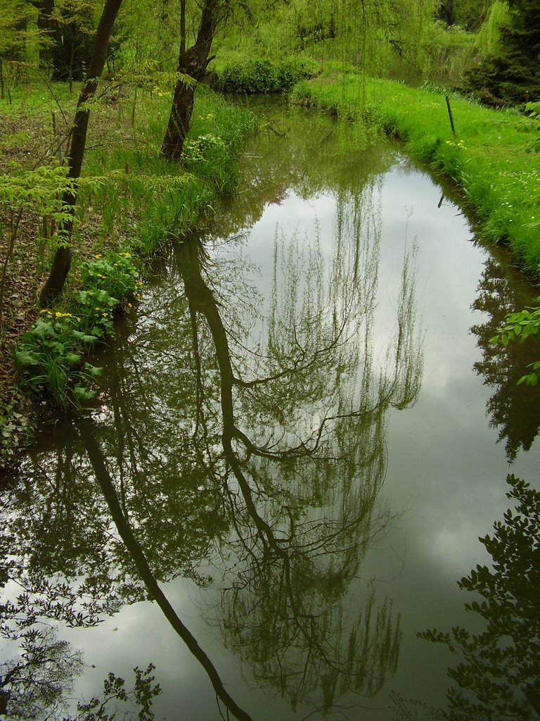 Tükröm, tükröm.../Mirror, mirror... by Izabella Pinter