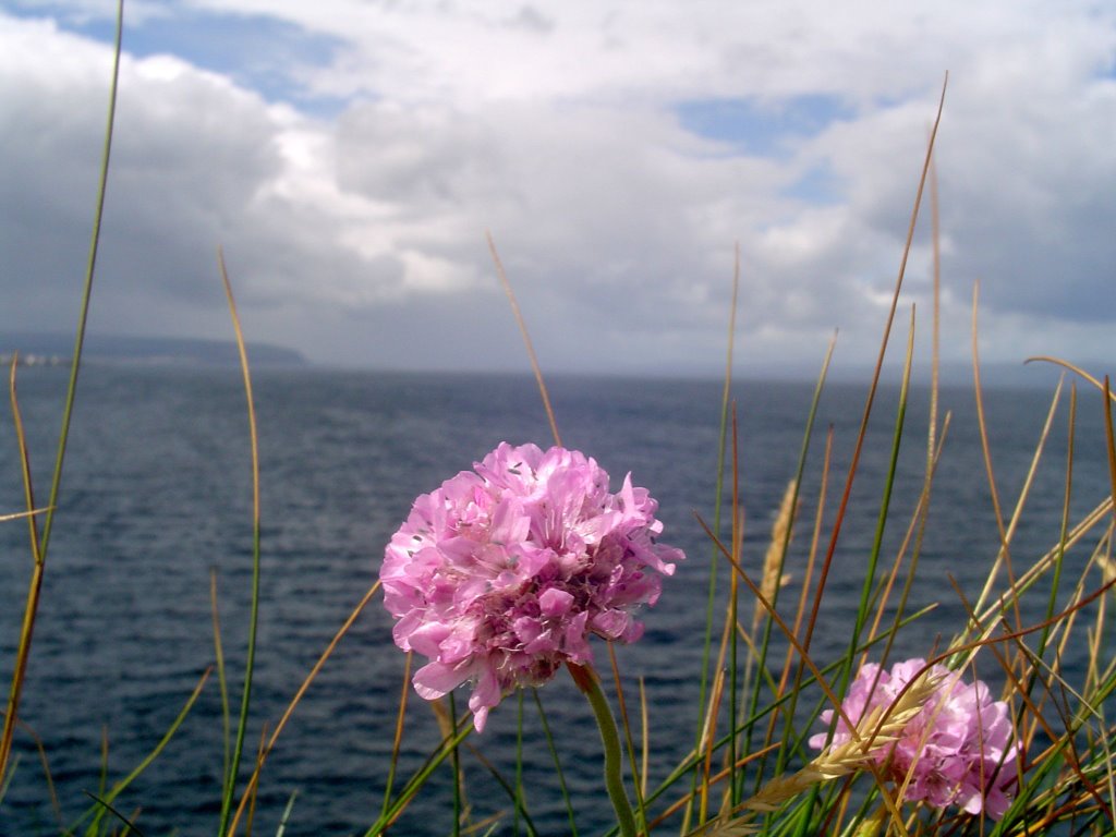 Atlantic sea by valdow