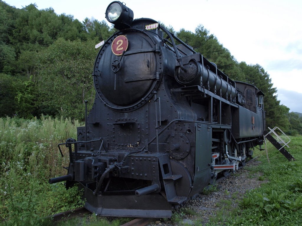 Steam locomotion, historic site of TOHMEI station by tade KS