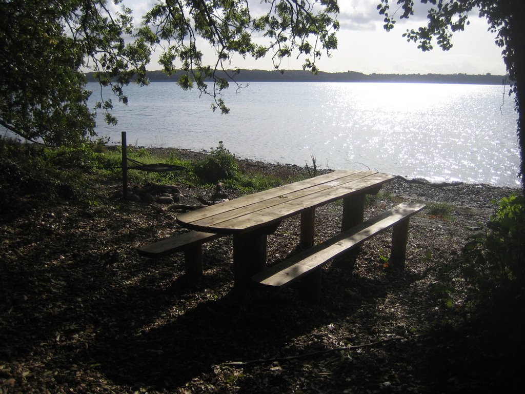 Grillplatz im Kollunder Wald by Felix Hansen