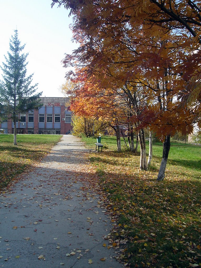 Торговый Центр, Курчатова 3/4 (Near Kurchatov str. 3/4) by sovs2008