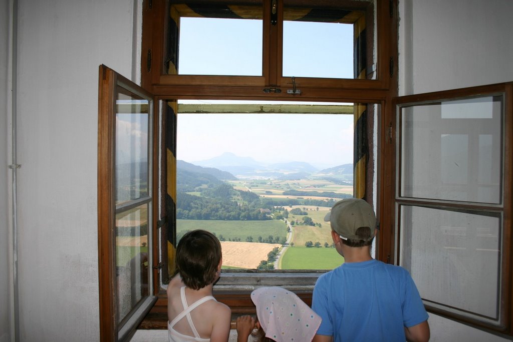 Looking out the window by Mihaly Barosi