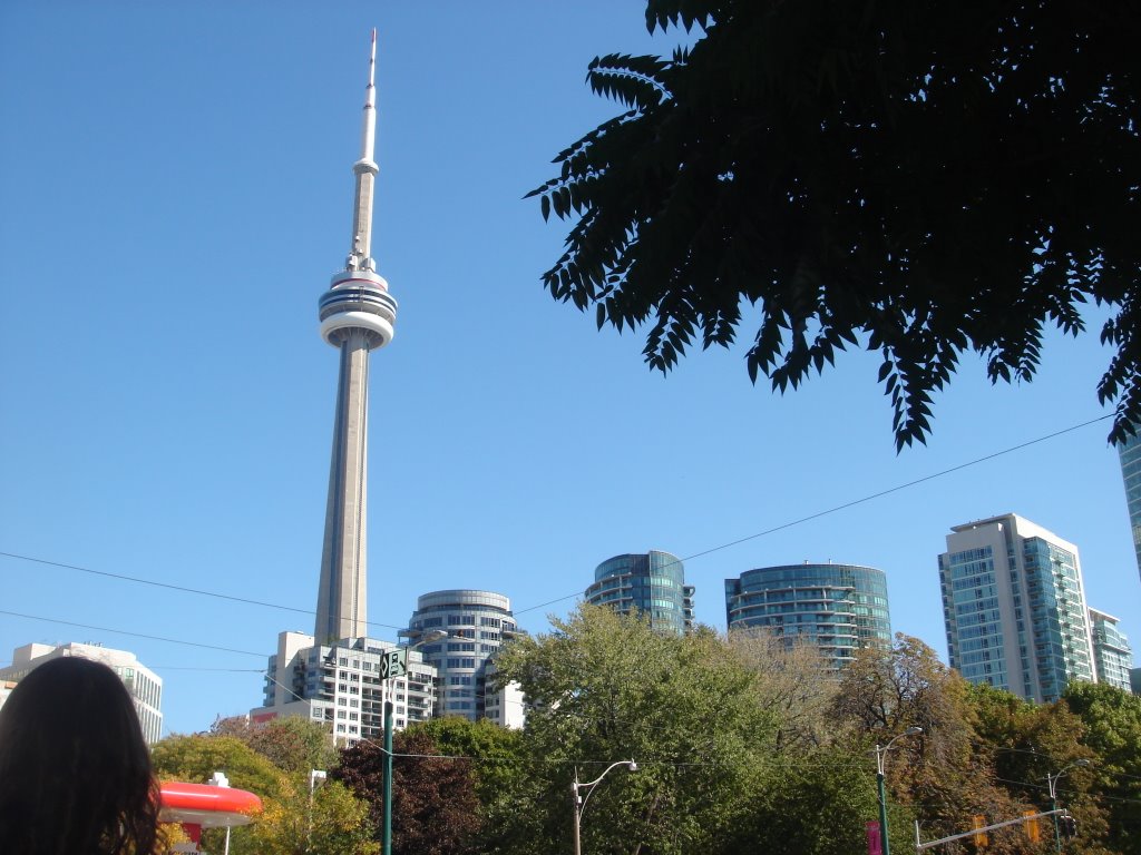 CN Tower by Lupedo