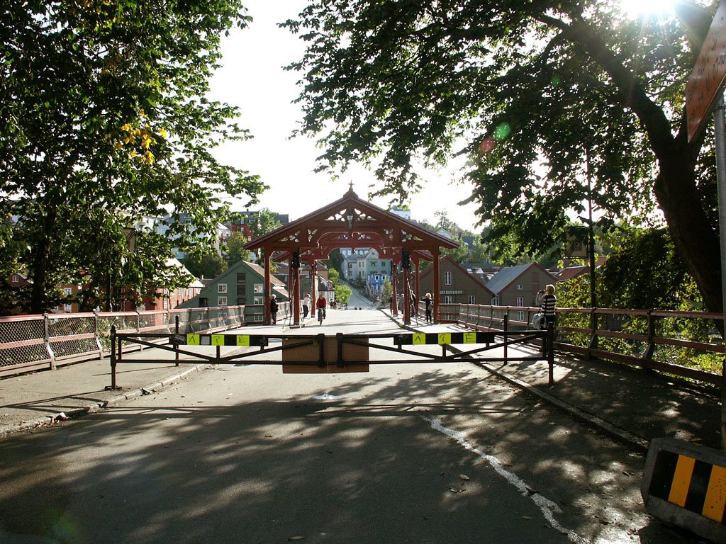 Gamel Bybru (Alte Brücke bei Sonnenschein) by N.Braun