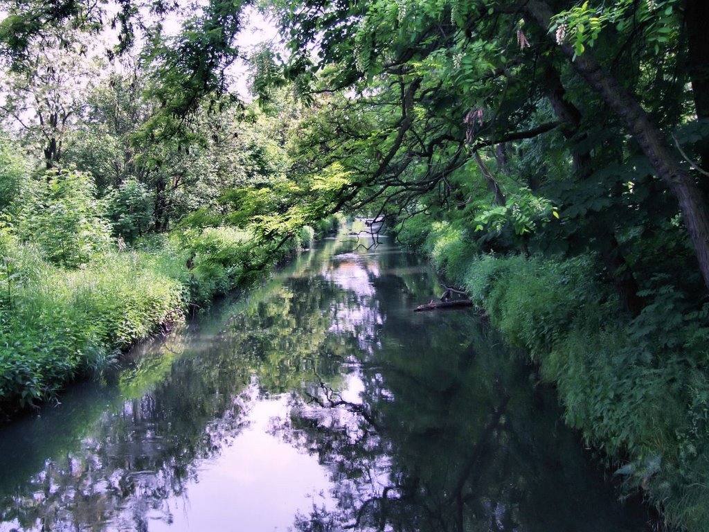 The park (River Bytomka) by apostata