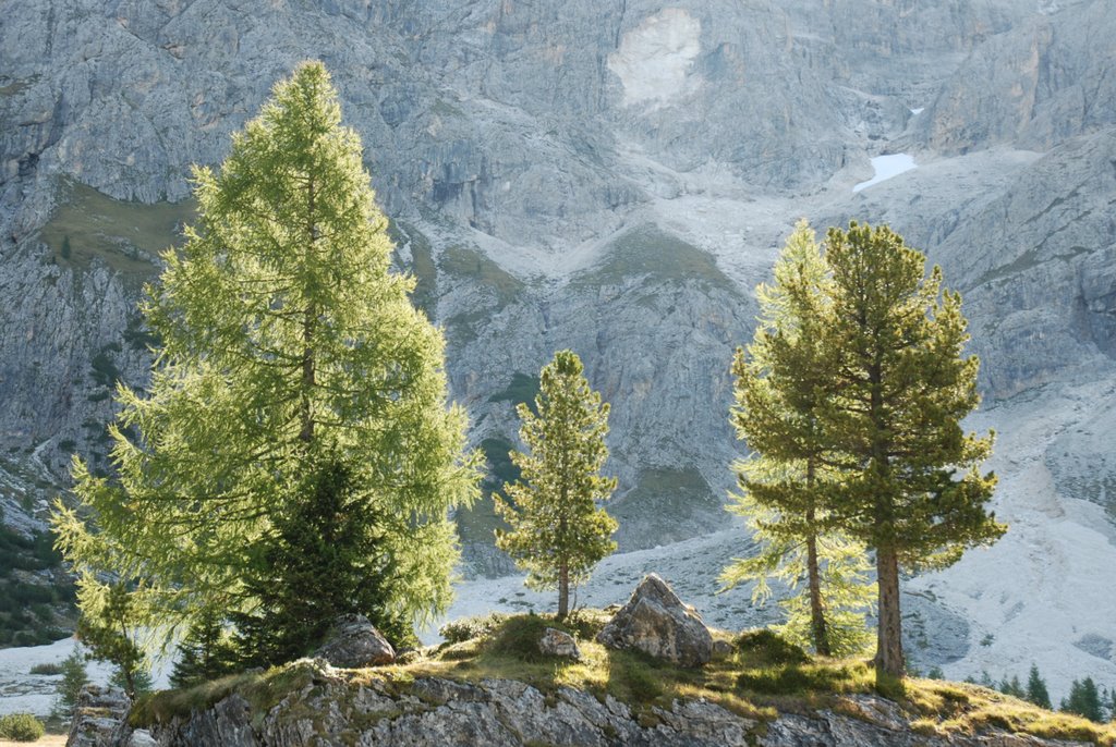 Controluce in val Venegia by Giuseppe Izzi