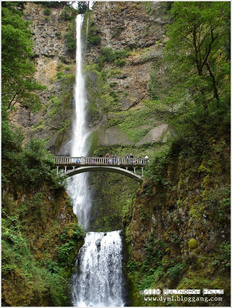 Multnomah Fall 2008, Oregon by DYML