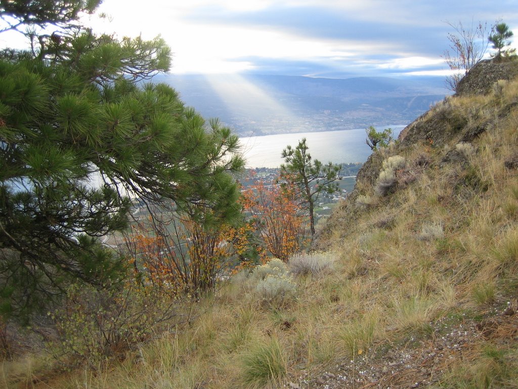 View from Giant's Head by filgerm