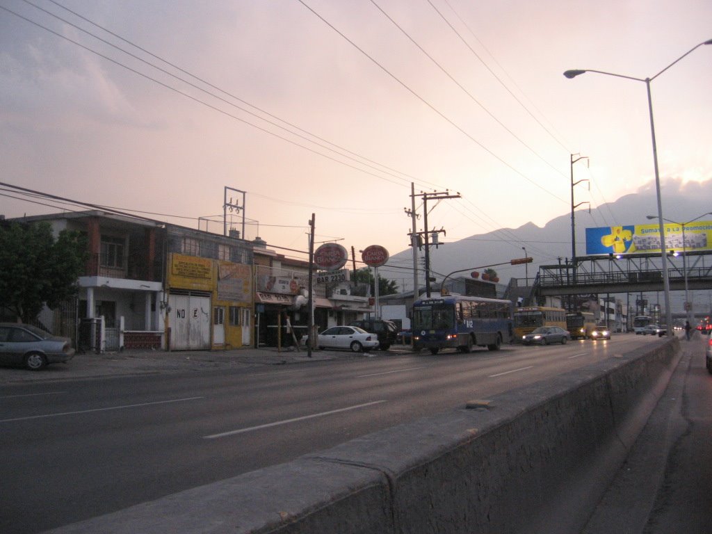 Ave. Ruiz Cortinez, Monterrey Nuevo León México by ~☂slavva☂~