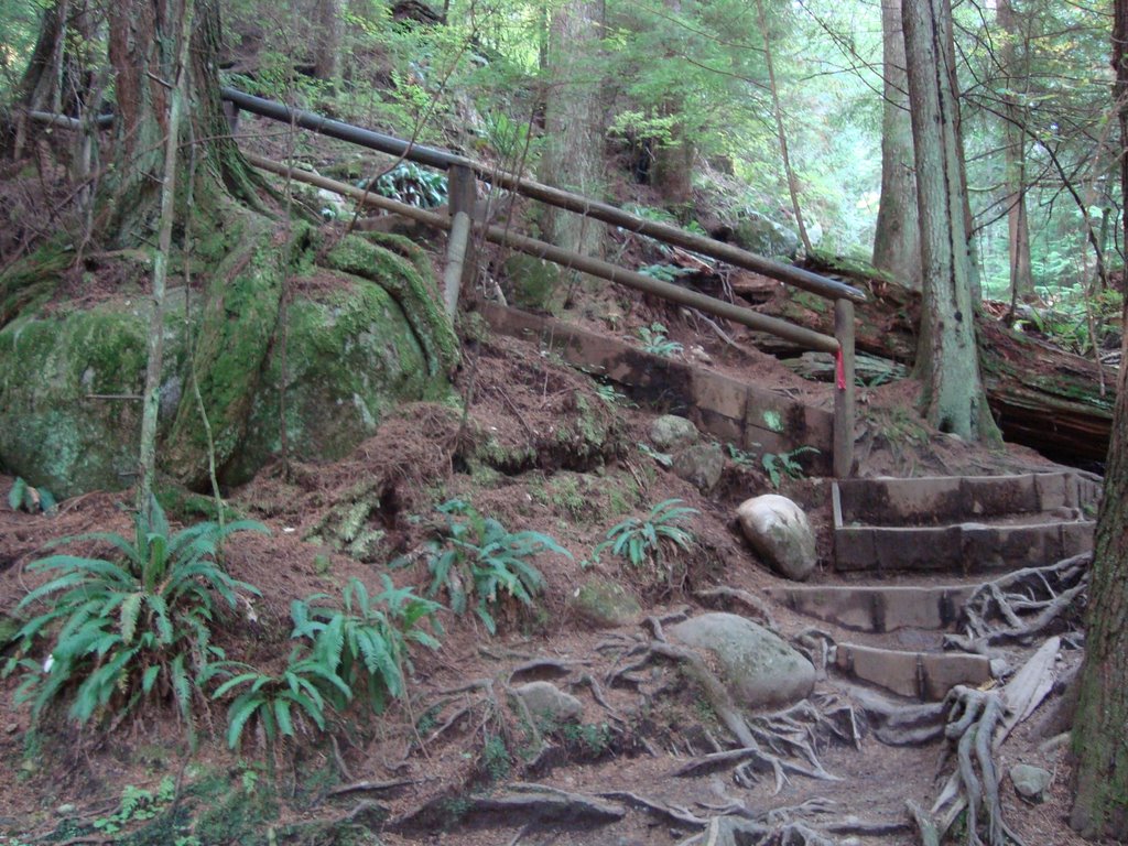 Capilano River Park by Bierophile