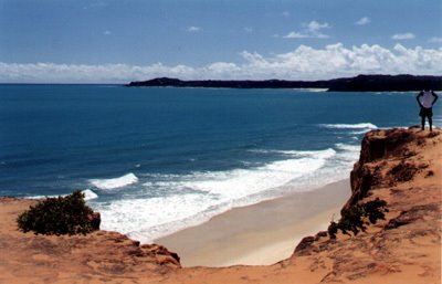 Vista da praia de Pipa da falésia by Francisco Parobé