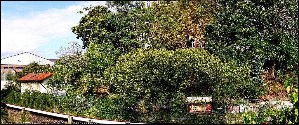 Die Gartenlaube "KurvenStar" in Berlin-Halensee by Wolfram Jacob