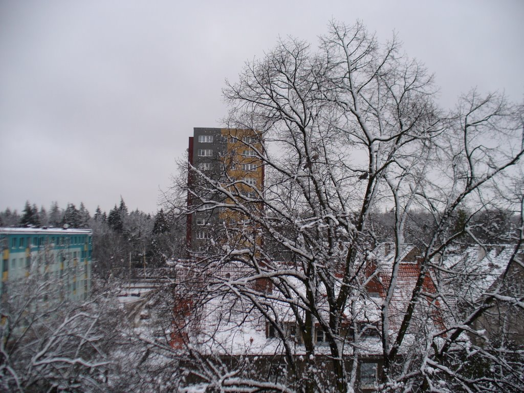 After snow - flurry 08 april 2008; view toward cemetery. Po zamieci snieznej 8 kwietnia 2008r; widok w kierunku cmentarza. by Mordimer Madderdin