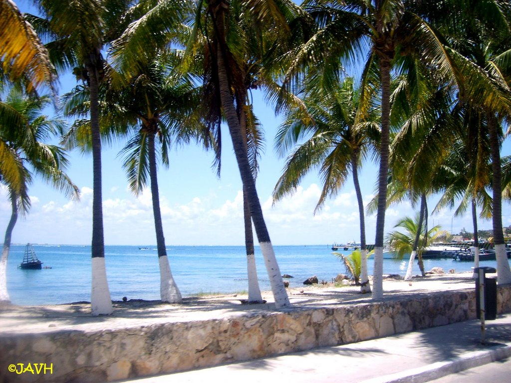 Malecón, Isla Mujeres, México by Jorge Alberto Vega