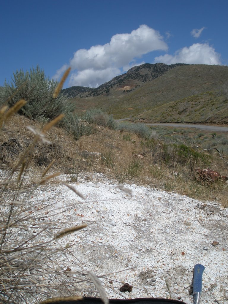 Chert outcrop Silver City, Utah by thelivingwest