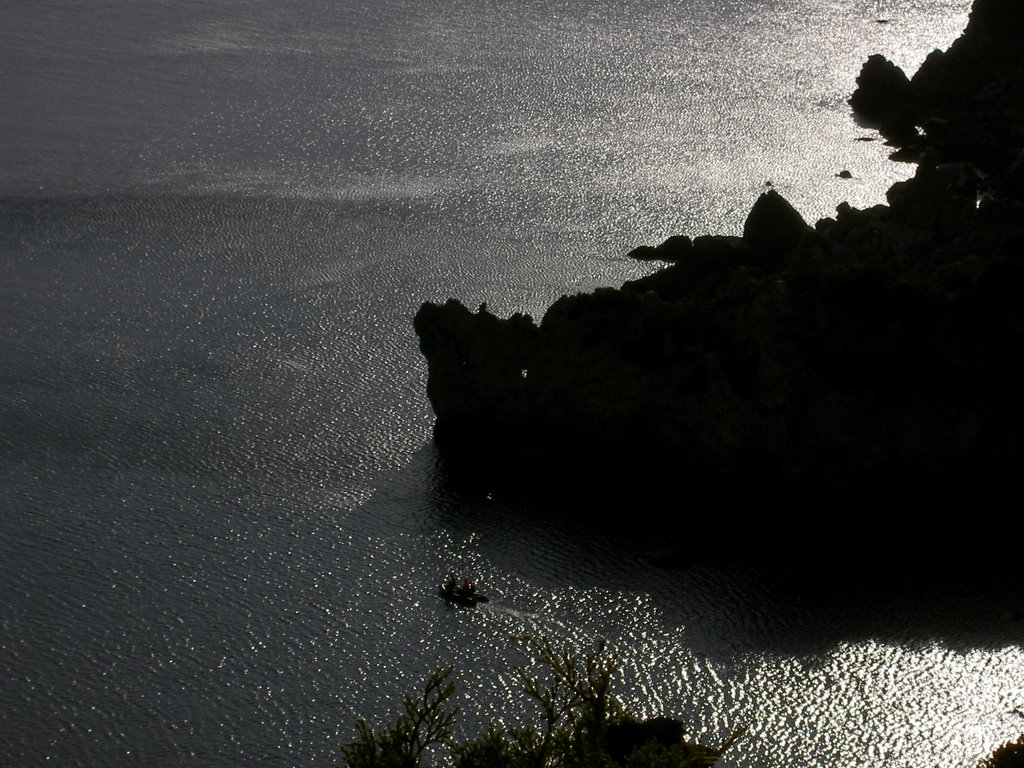 Giglio Allume by tmkramer