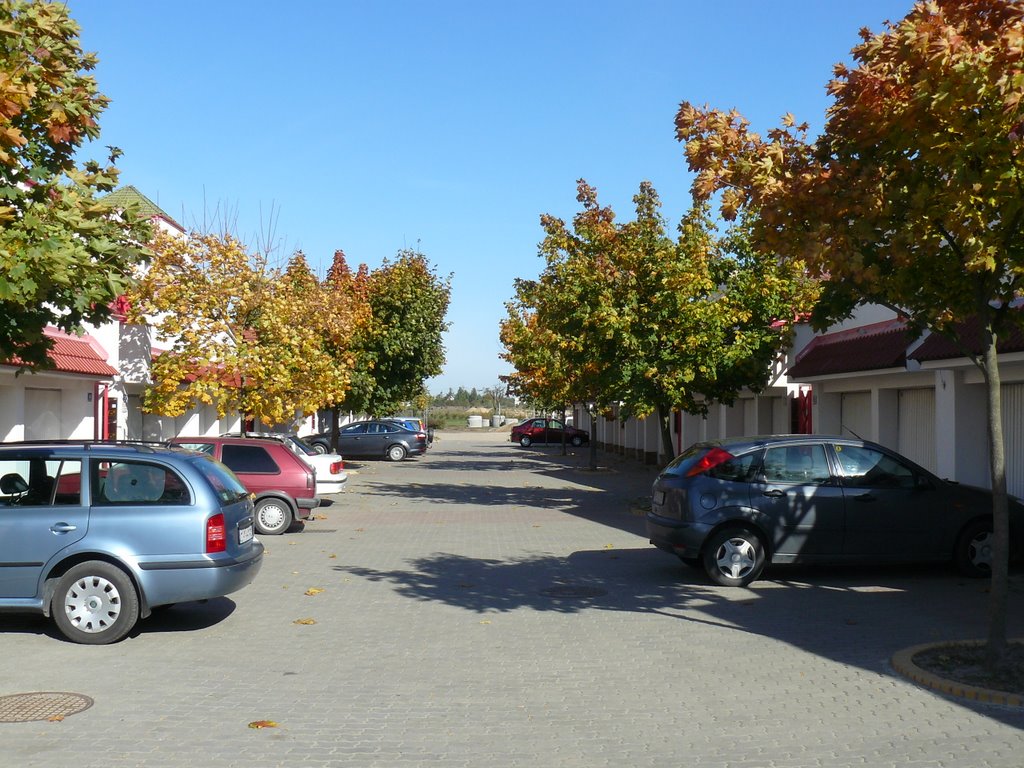 Rosebrook housing estate. The early autumn colours by Maciejk