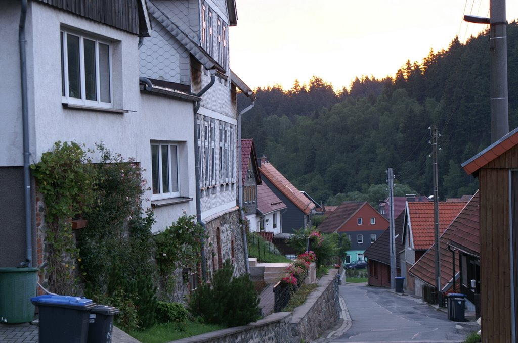 Schulstraße in Tanne by Chrischan von Danne