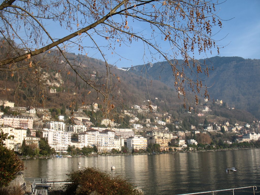 Costa de Montreux by viejanuevacordoba