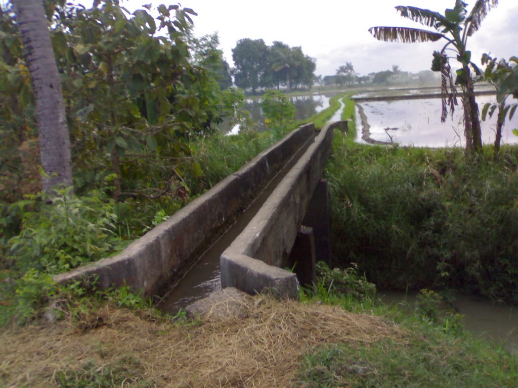 Talampas Rice Irrigation by cyr garcia