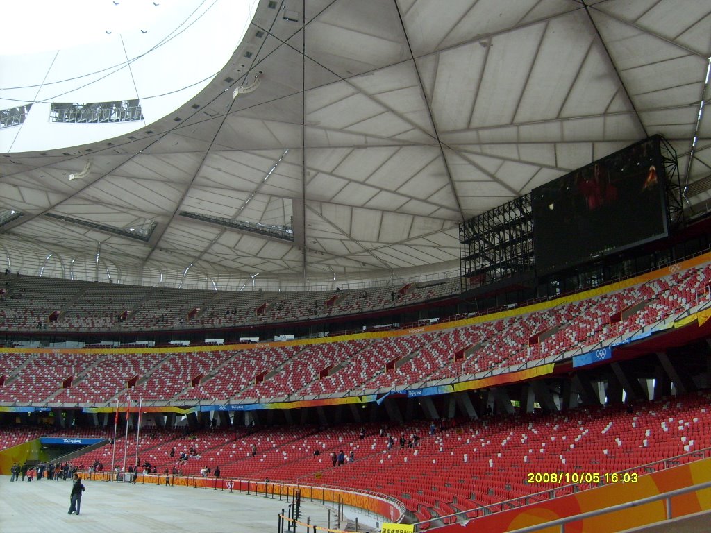 Bird's nest ---Stade national de Pékin by ansory