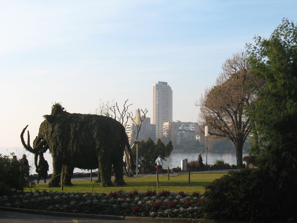 Arbustos o animales... de Montreux by viejanuevacordoba