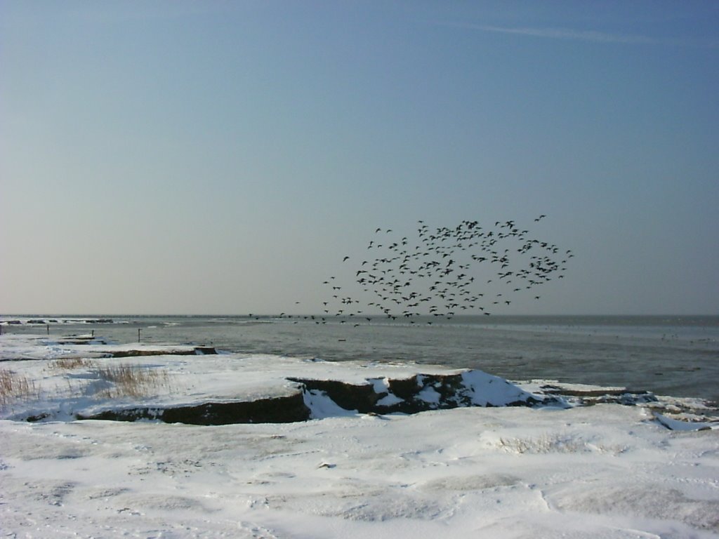 Winter 2006 by Einte vd Zee