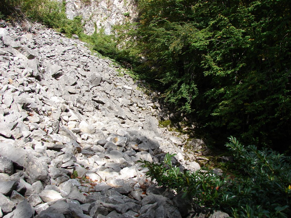 Mağra yolu(selçuk özel) by selçuk özel