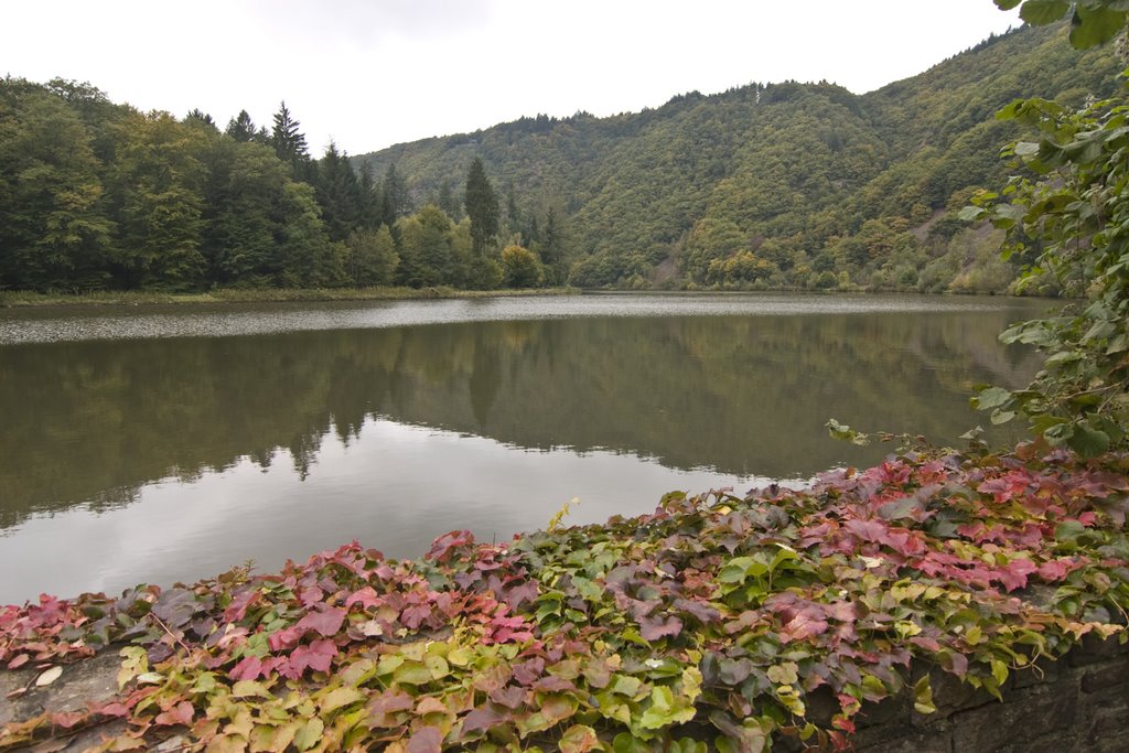 Saar mit Herbstlaub by vossiem