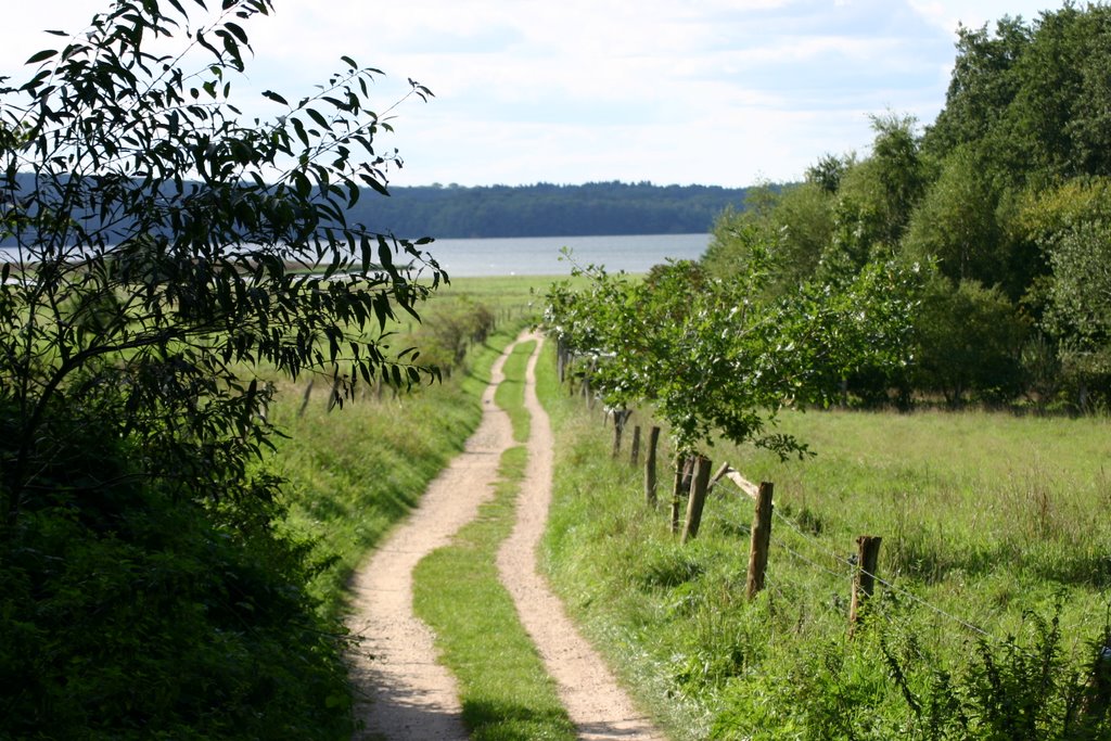 Radweg am Plöner See bei Bosau by chrima46