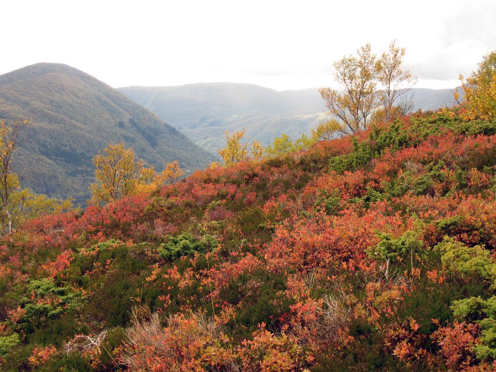 Vaksdal, Norway by Hilmar Fosse