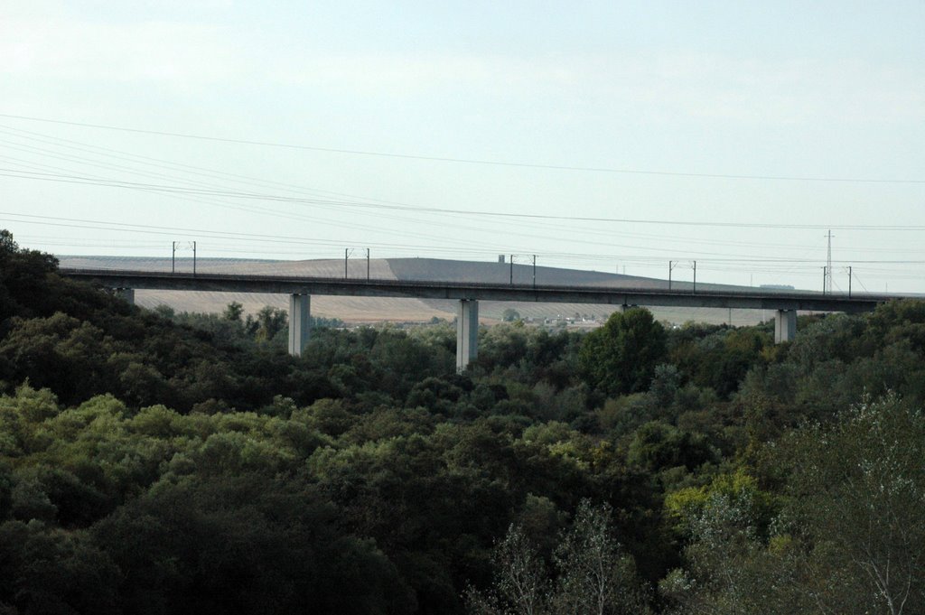 Puente del Ave, a su Paso por el Puente Mocho by borjafer