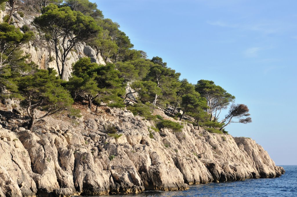 Les pins et les Calanques by Cheikh-Aissa Ali