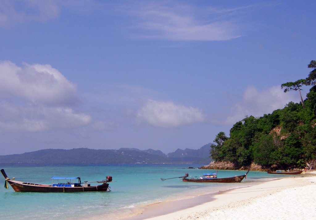 Longtails on bamboo island by crokey