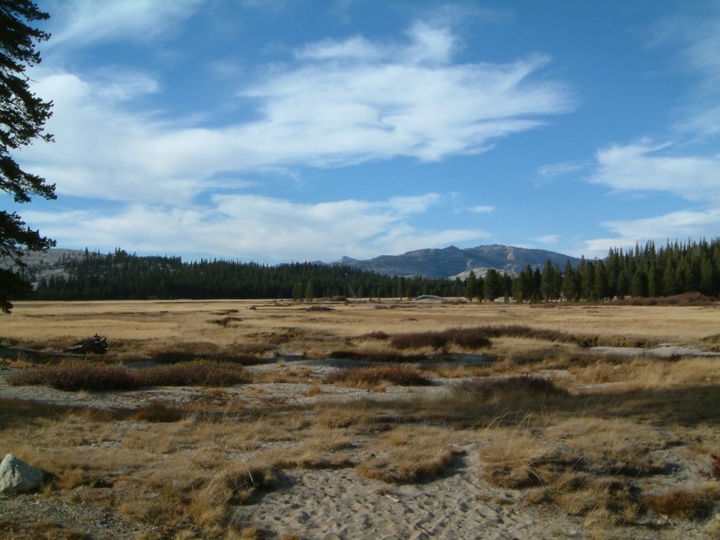 Tuolumne Meadows,Yosemite by iainbarclay