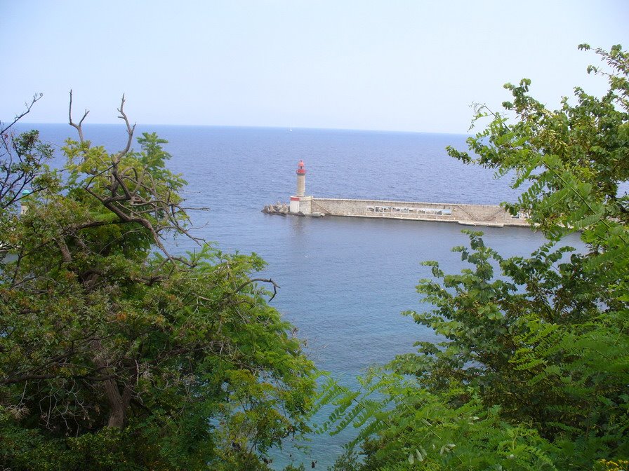 Bastia - looking through the trees by jeffwarder