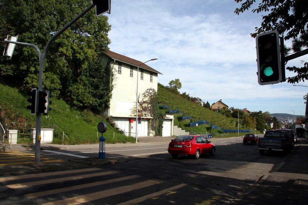 Höngg, Zürich, Switzerland by Samuel Fausch