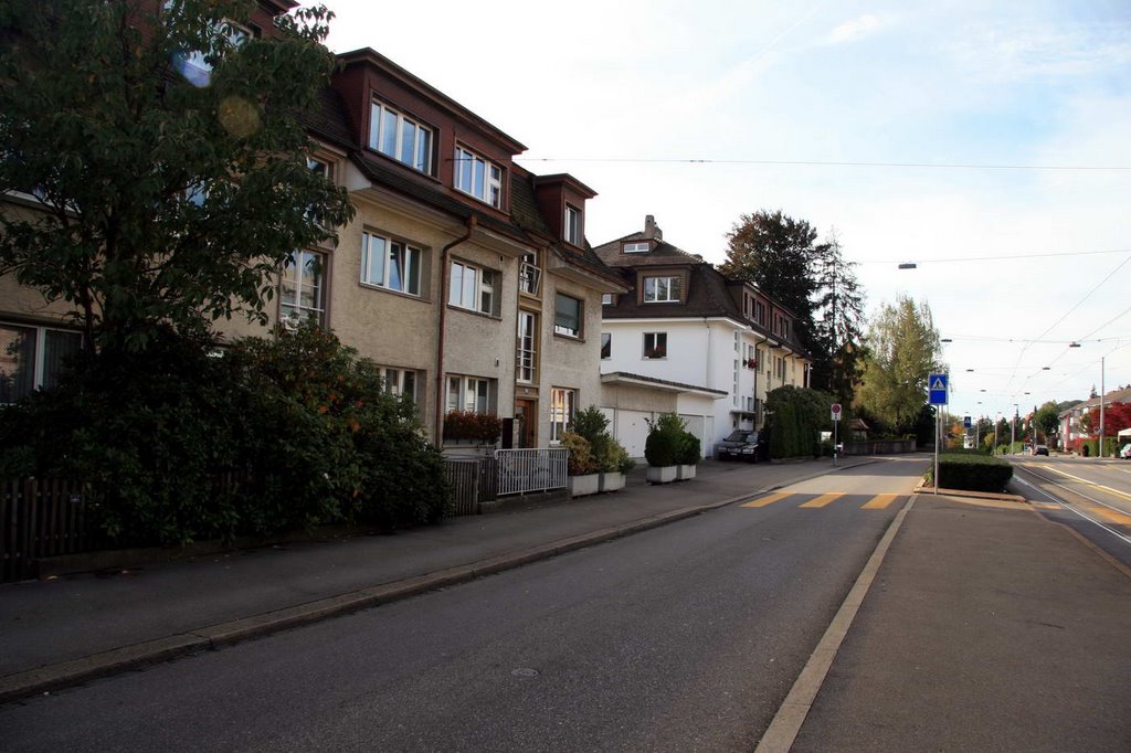 Limmattalstrasse Richtung Unterengstringen bei Tramhaltestelle Wartau by vodua