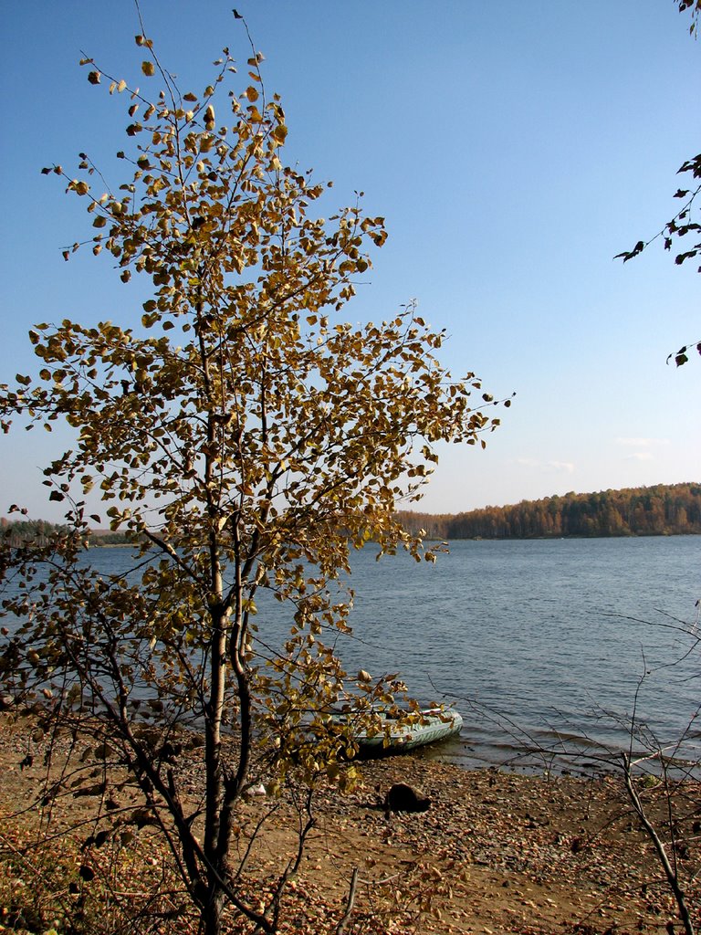 Zeleniy Mys, Lonely tree, Volchiha Pond by dennislad