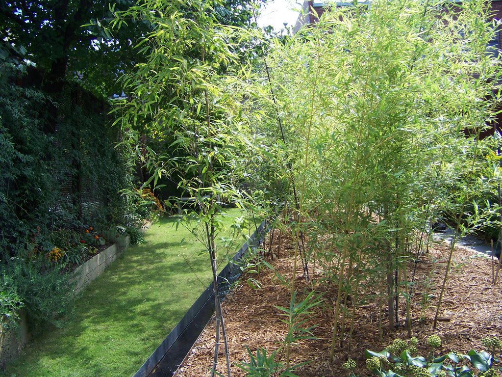 Modern "Green" House Garden (2309 2nd Ave. North) by Ryan Lonis