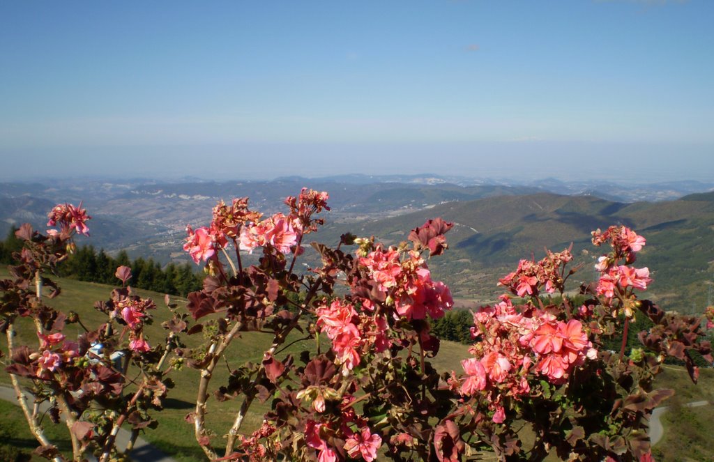 Vista da Monte Penice by Arthur1961