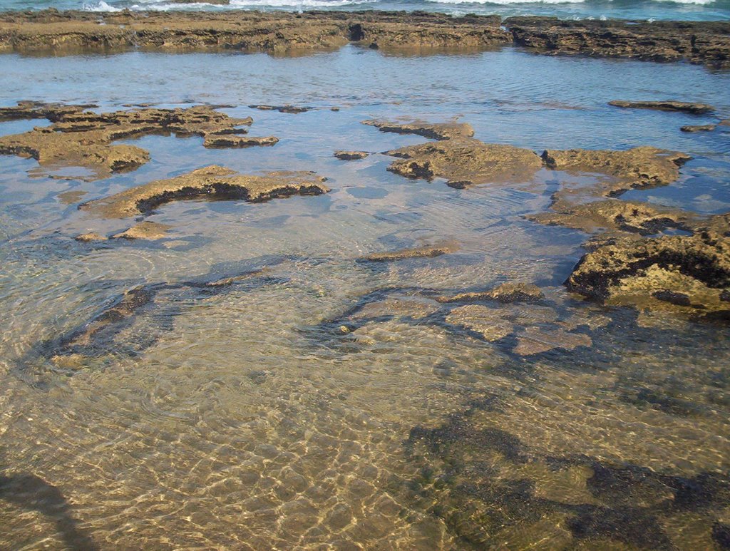 Praia das castanheiras by kelli joice