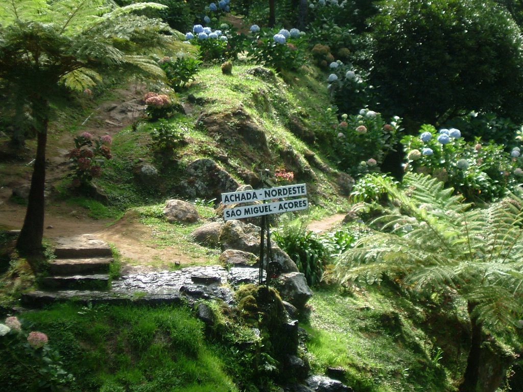 2008 - Achada - Ribeira dos Calderões by cbotel