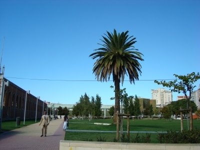 Jardim Arco do Cego by Espaço Ávila