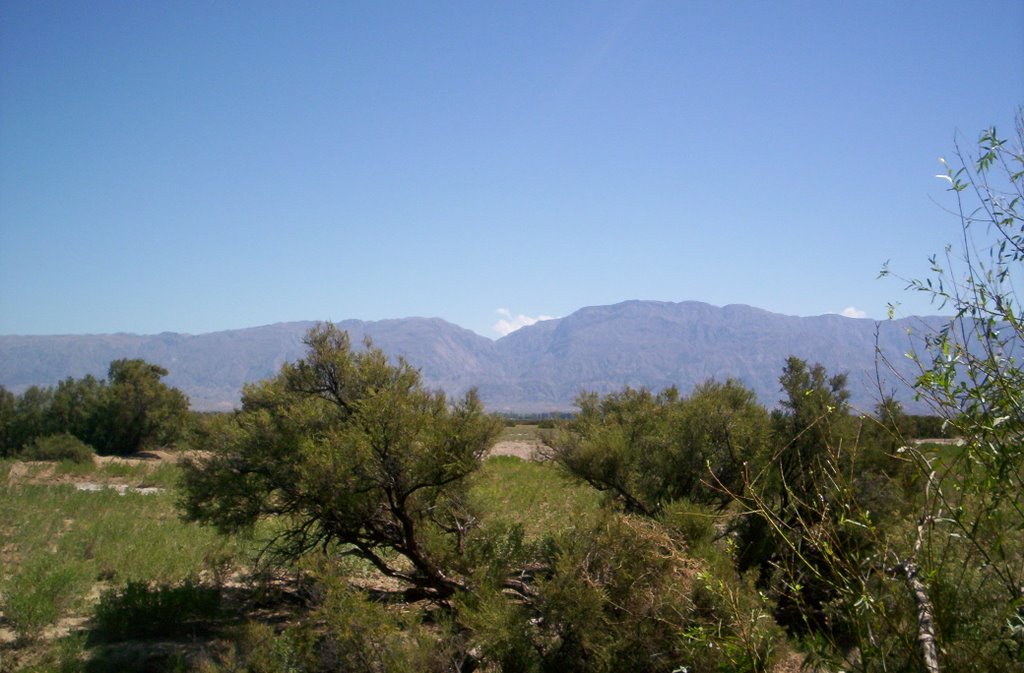 Cerro Barboza, Rawson, San Juan by Enrique Guardia