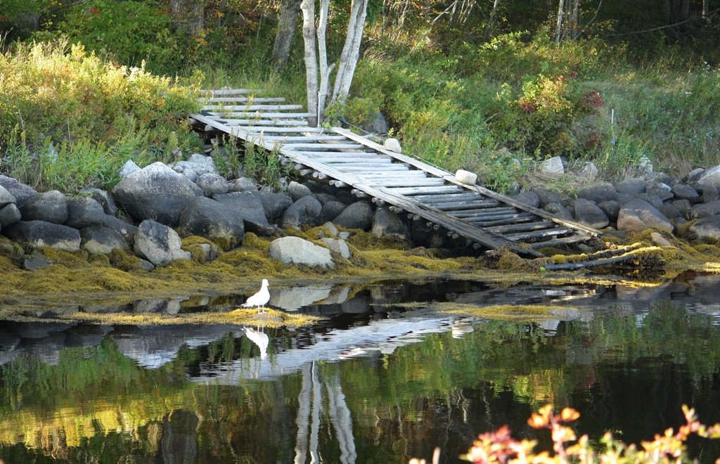 Hubbards, N.S. - Private Skidway at Hubbards Cove. by jonfromnsca