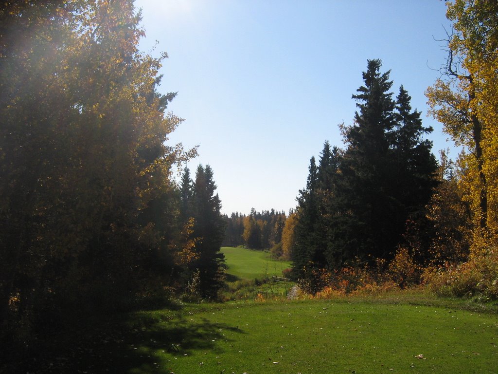 Wolf creek Golf Course #4 West by peternesbitt