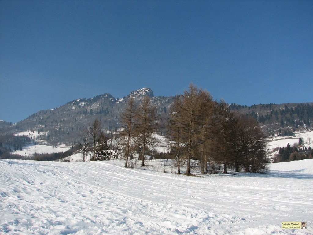 ~FC_20060213 Da Ctrà Sella Neve by www.candoni.it (Federico)